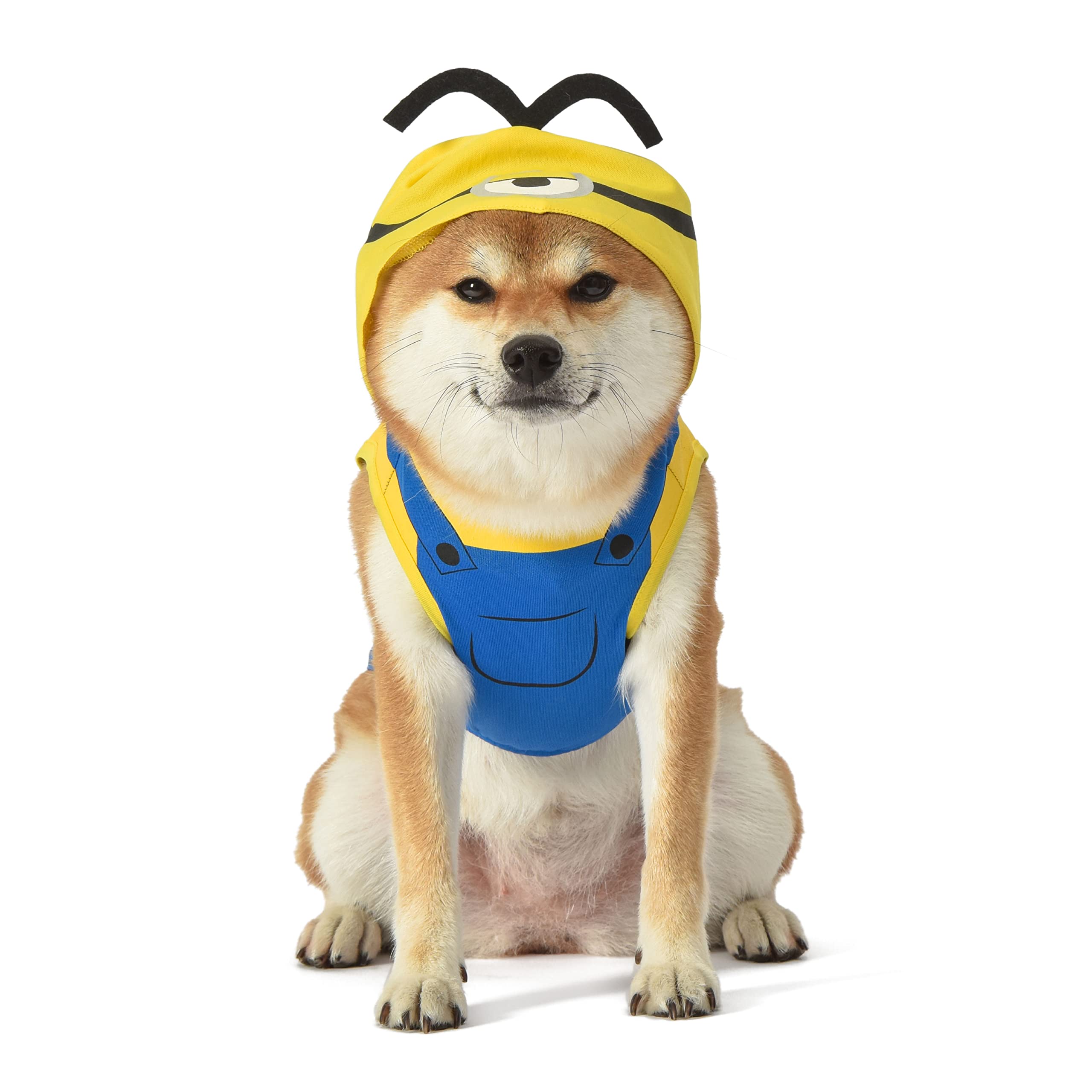 minion dog outfit