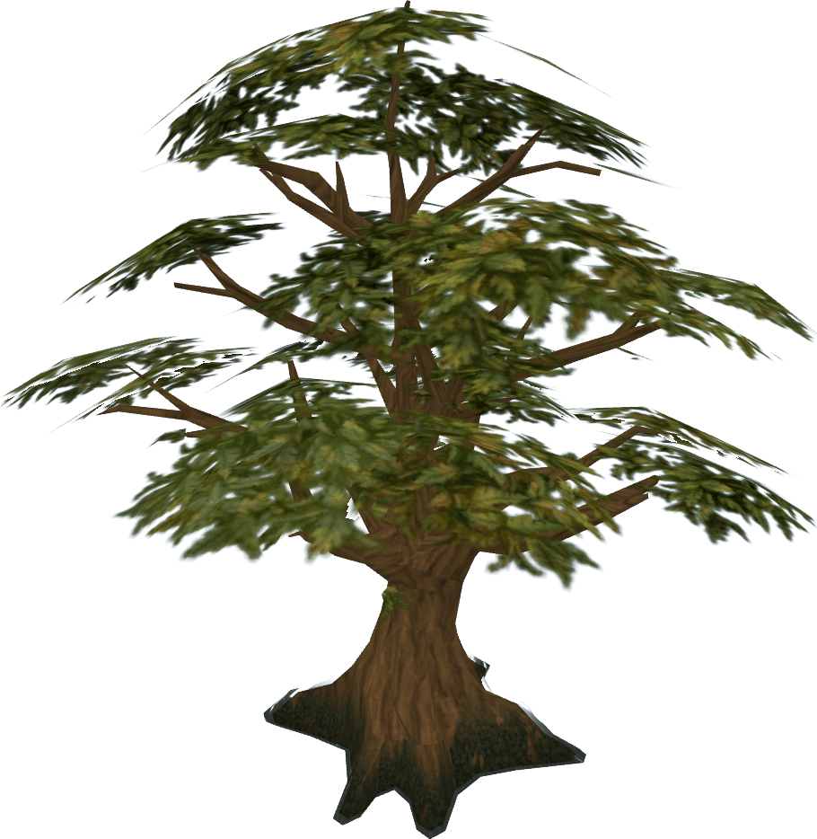 osrs oak tree