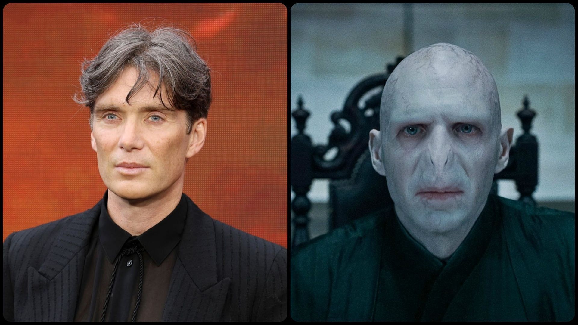 voldemort cast