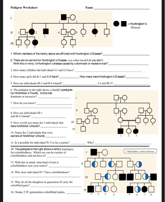 pedigree worksheet answer key pdf