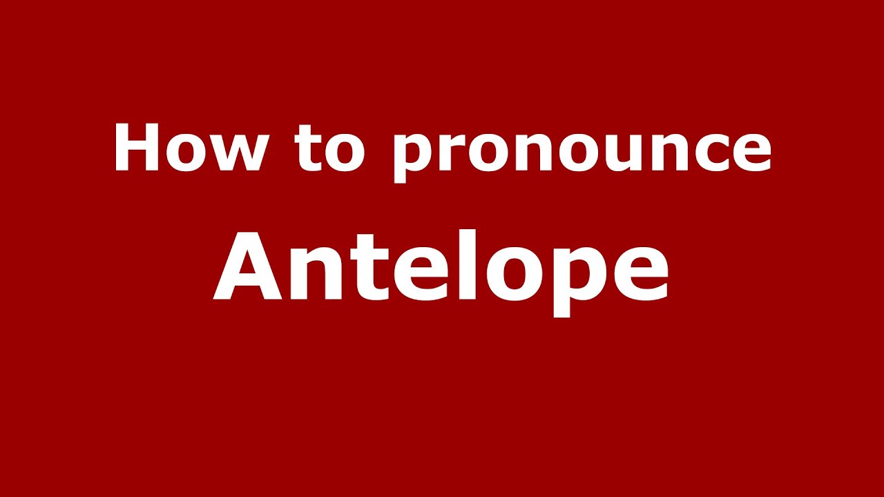 antelope pronunciation