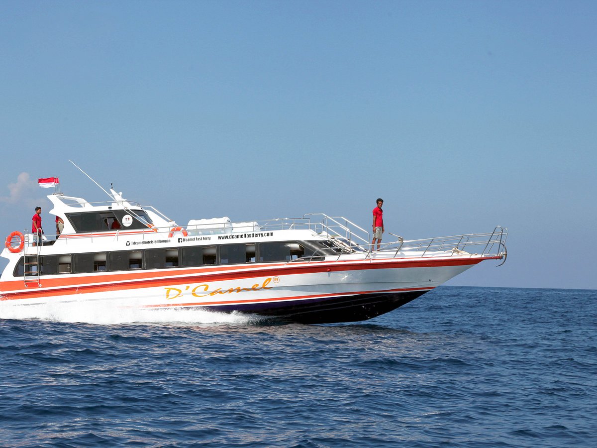 d camel fast ferry