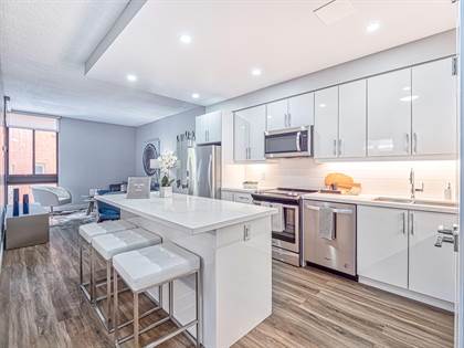 2 bedroom apartment for rent toronto