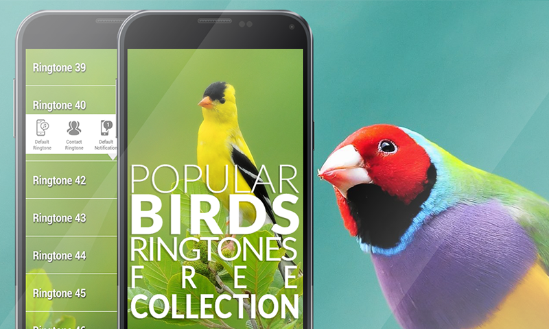 birdsong ringtones