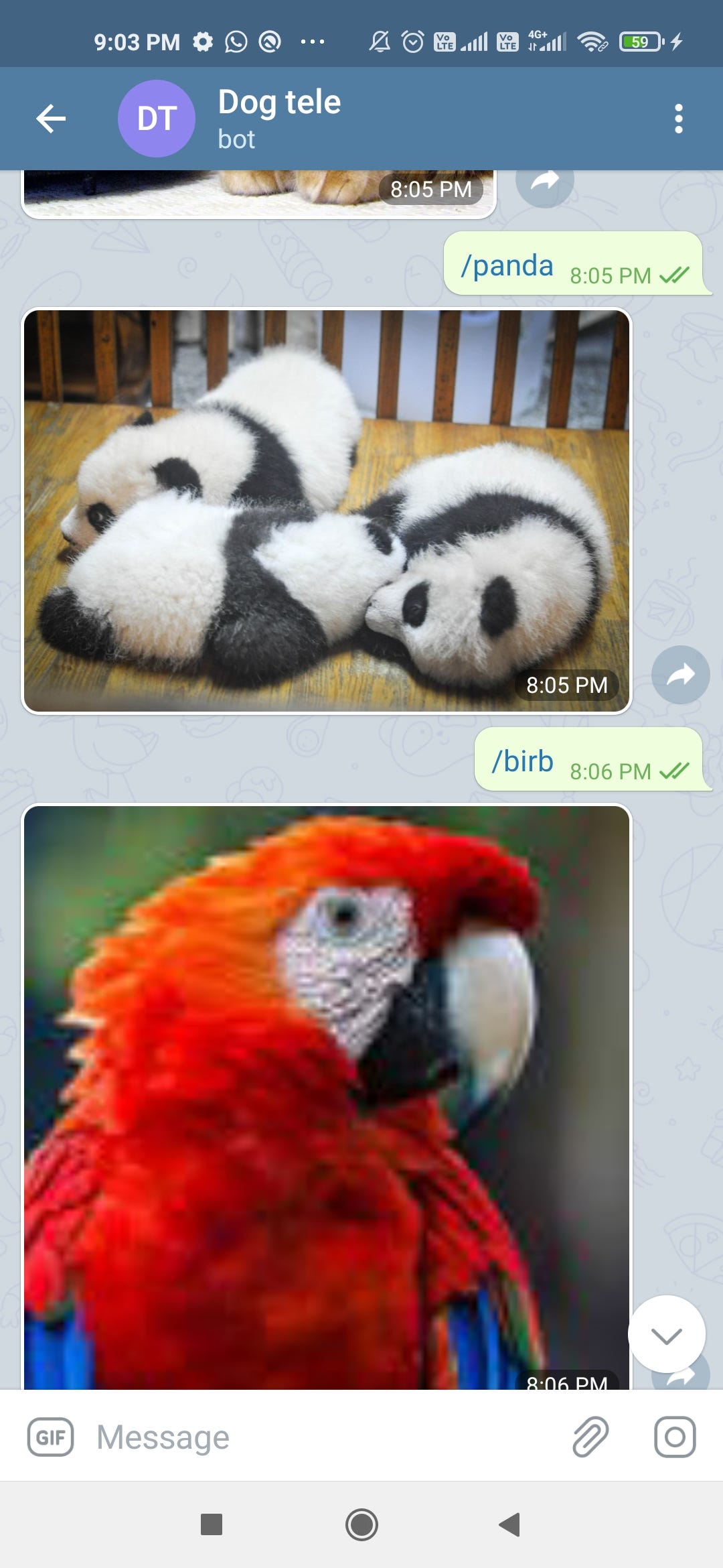 panda lookup bot telegram