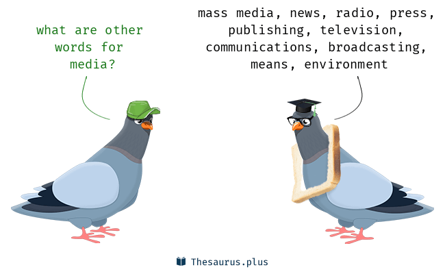 media synonym