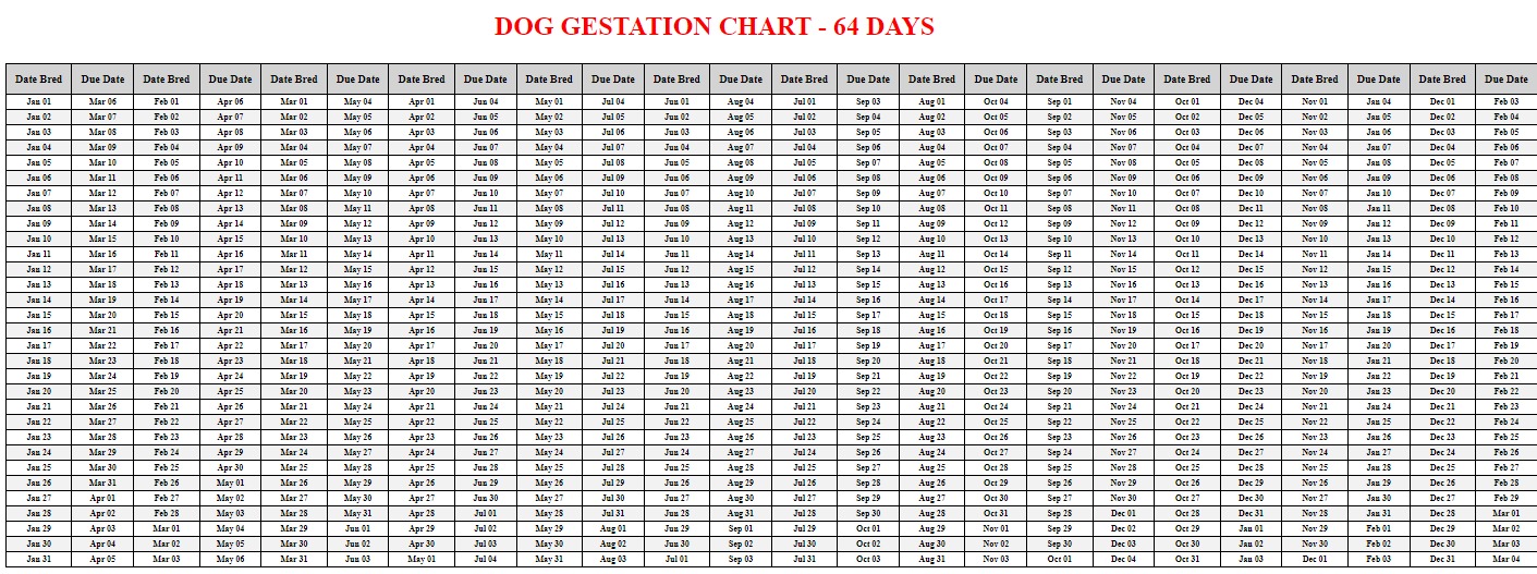 canine gestation calculator