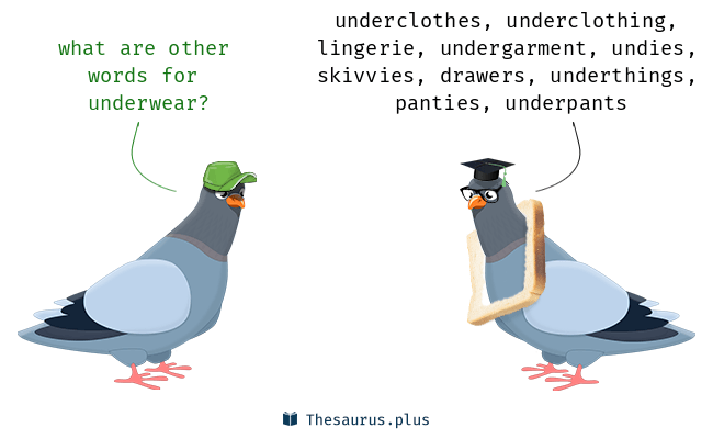 thesaurus underwear