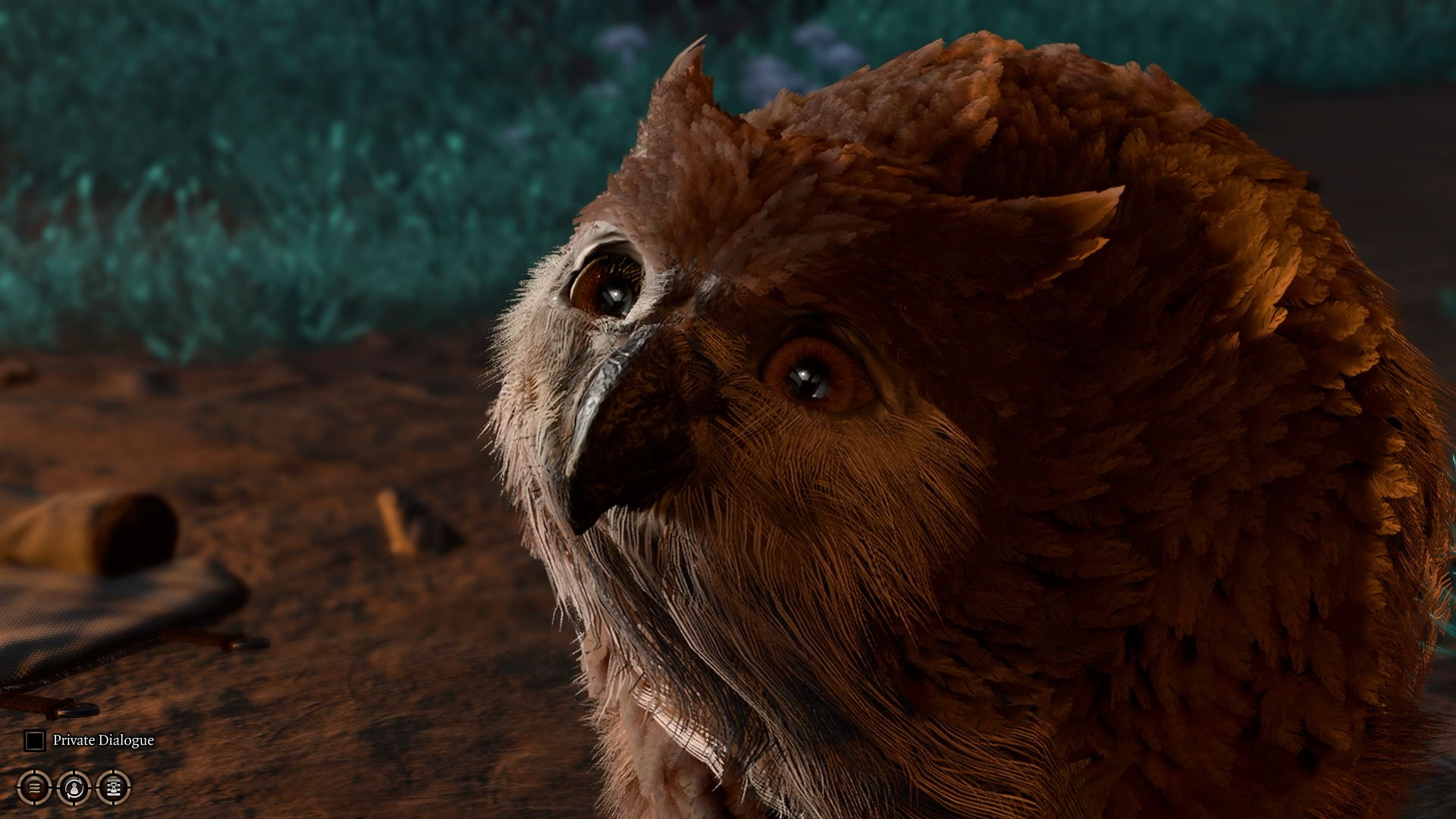 bg3 owlbear cub not in camp