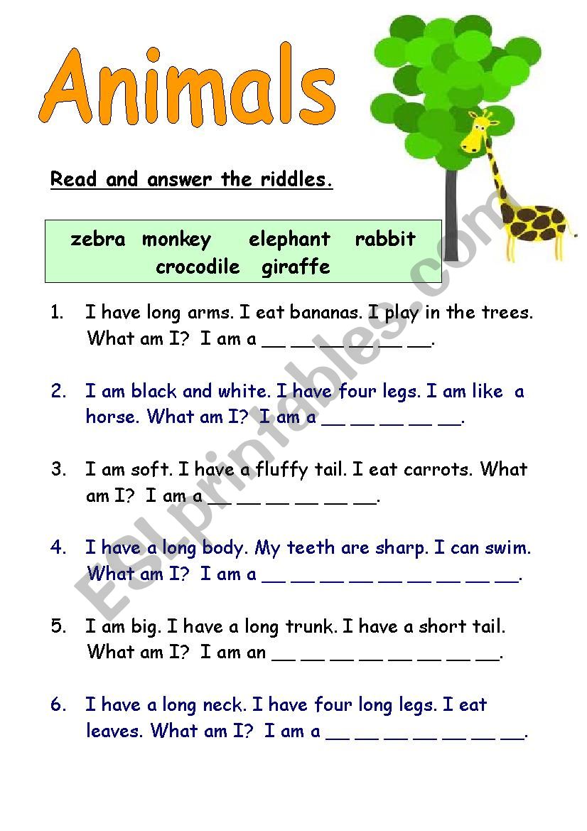 animal riddles worksheet with answers