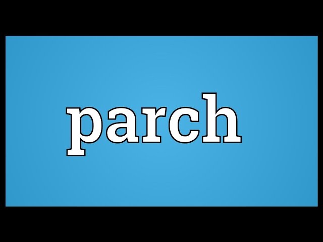 parch meaning in hindi