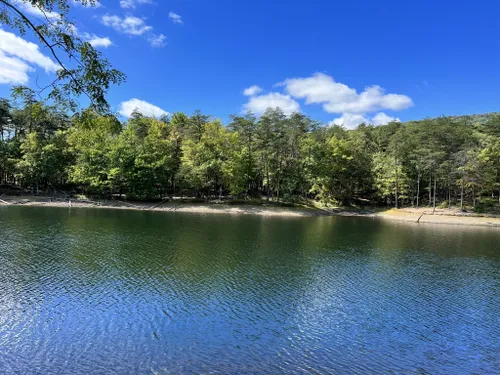 weather rocky gap md