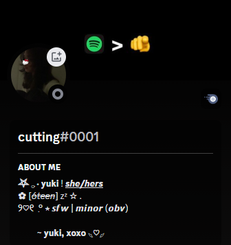 discord bios aesthetic