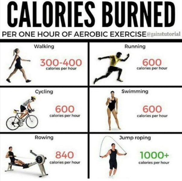 rowing machine calories per hour