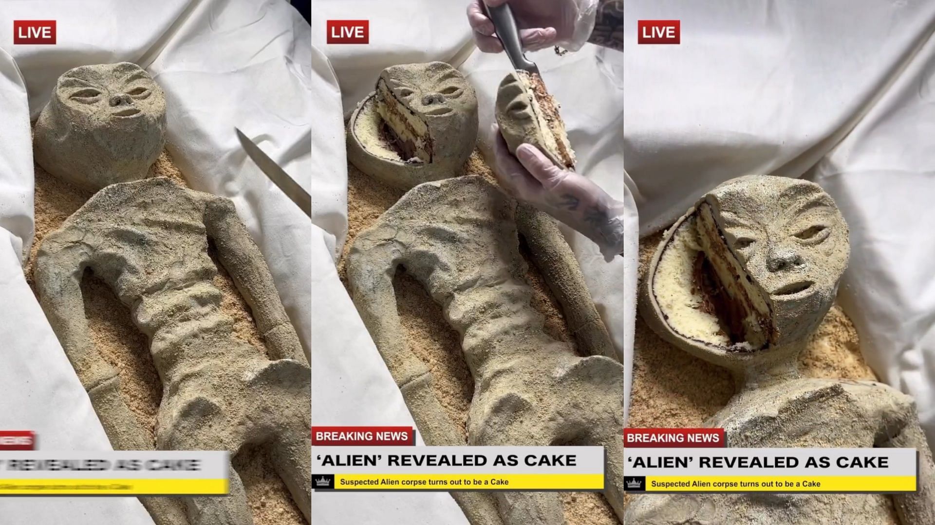 alien revealed as cake