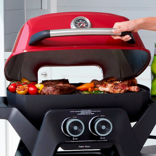 ziggy elite triple grill