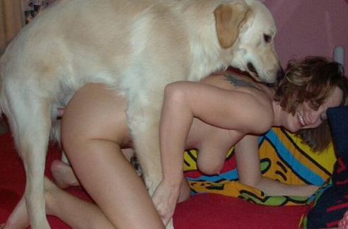 chicas cojiendo con perros