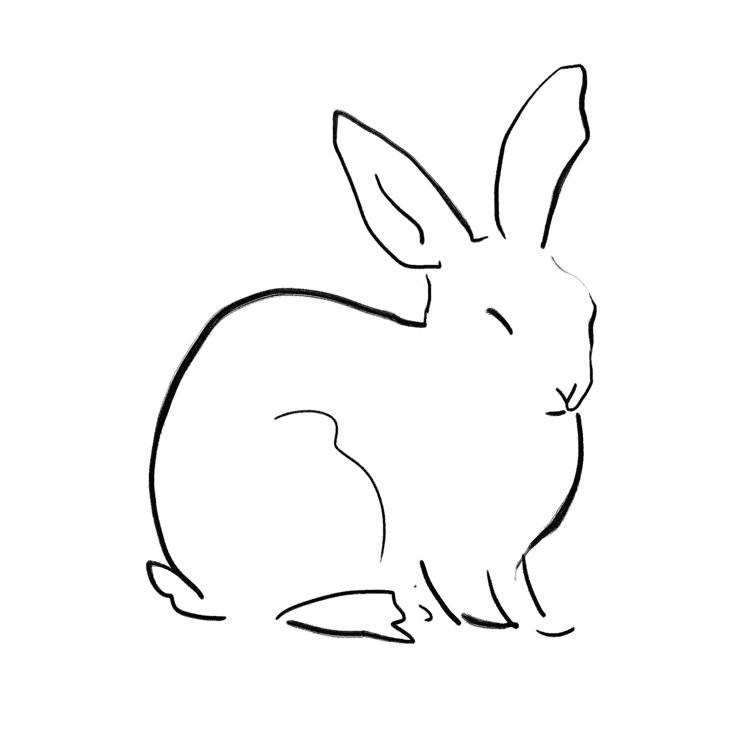 line drawing bunny