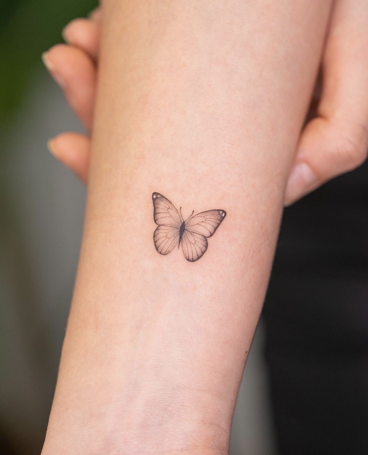 tatuajes de mariposas