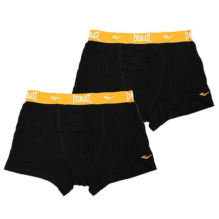 everlast mens briefs