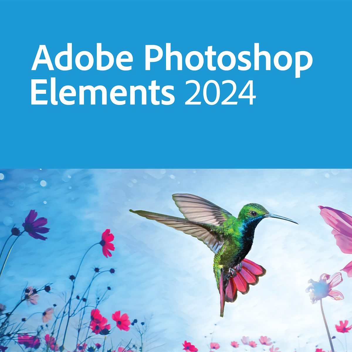 adobe photoshop elements 2024