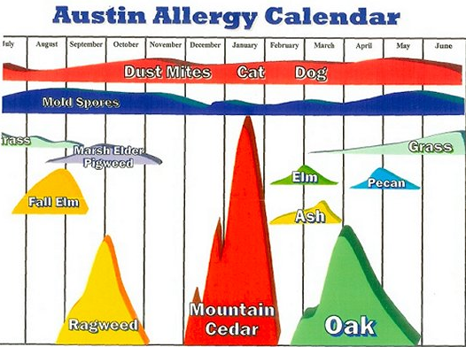 allergy forecast