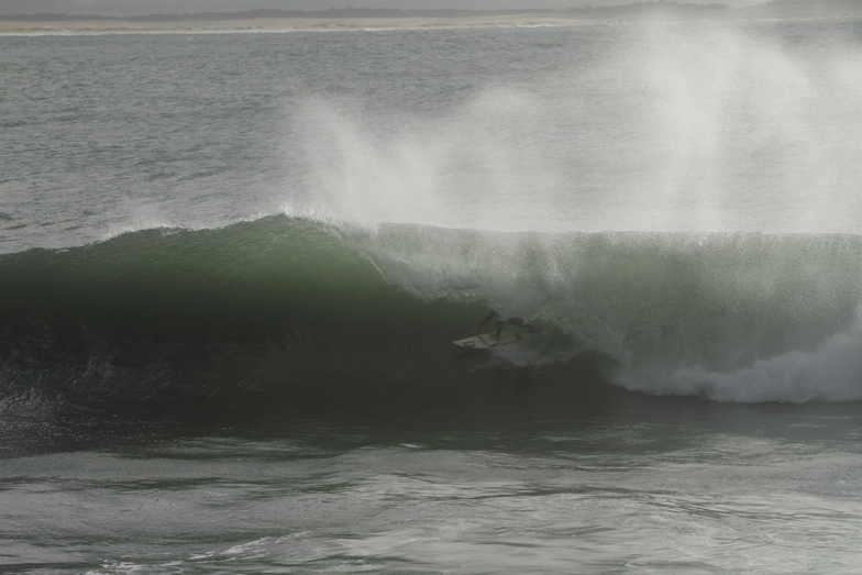 swell forecast newcastle