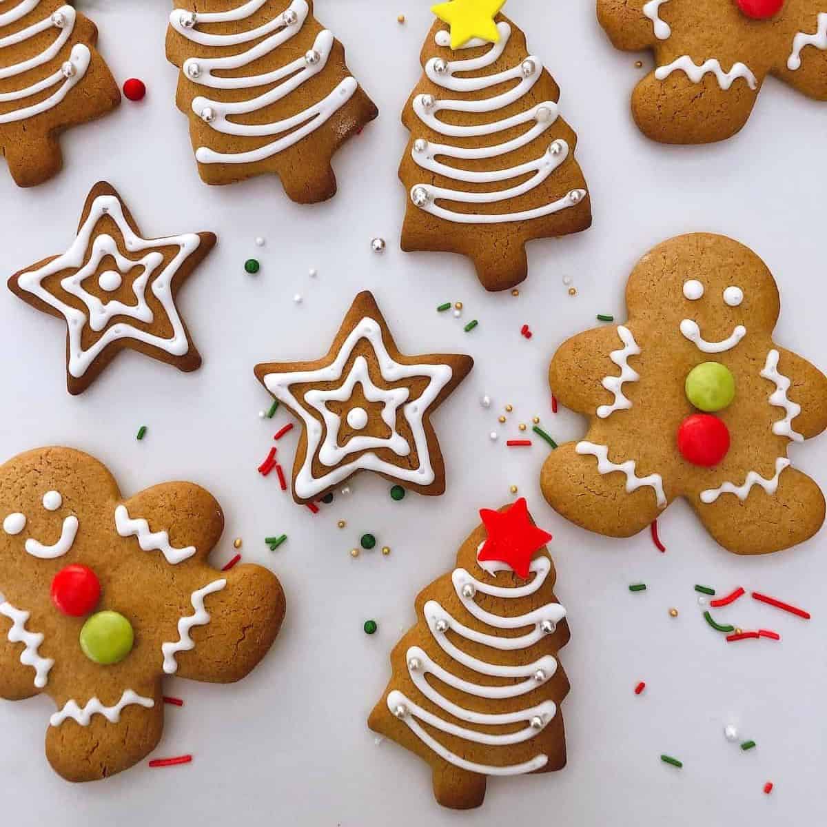 thermomix gingerbread cookies