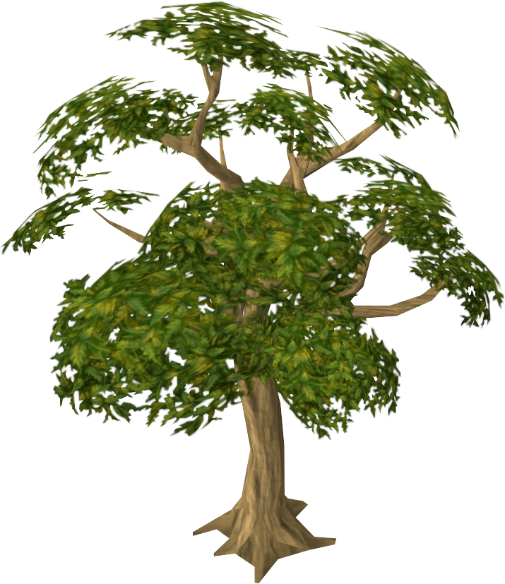 osrs mahogany tree