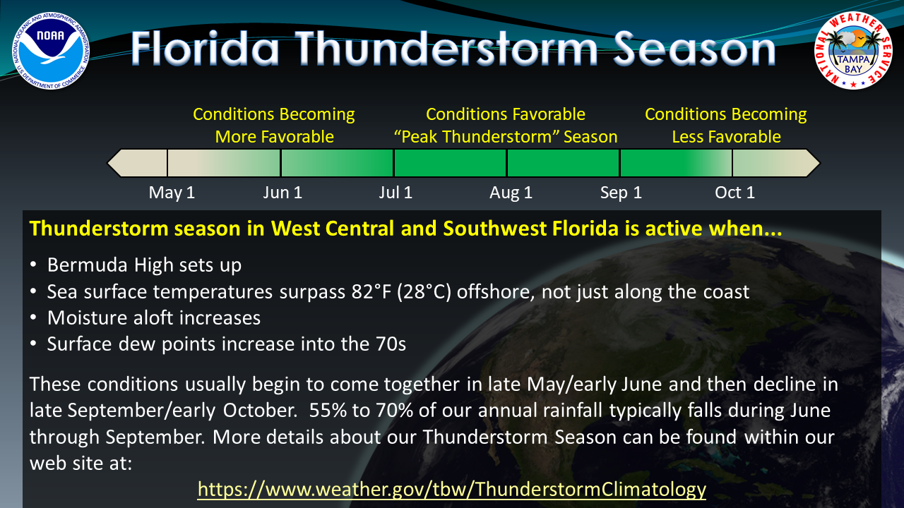 weather history tampa fl