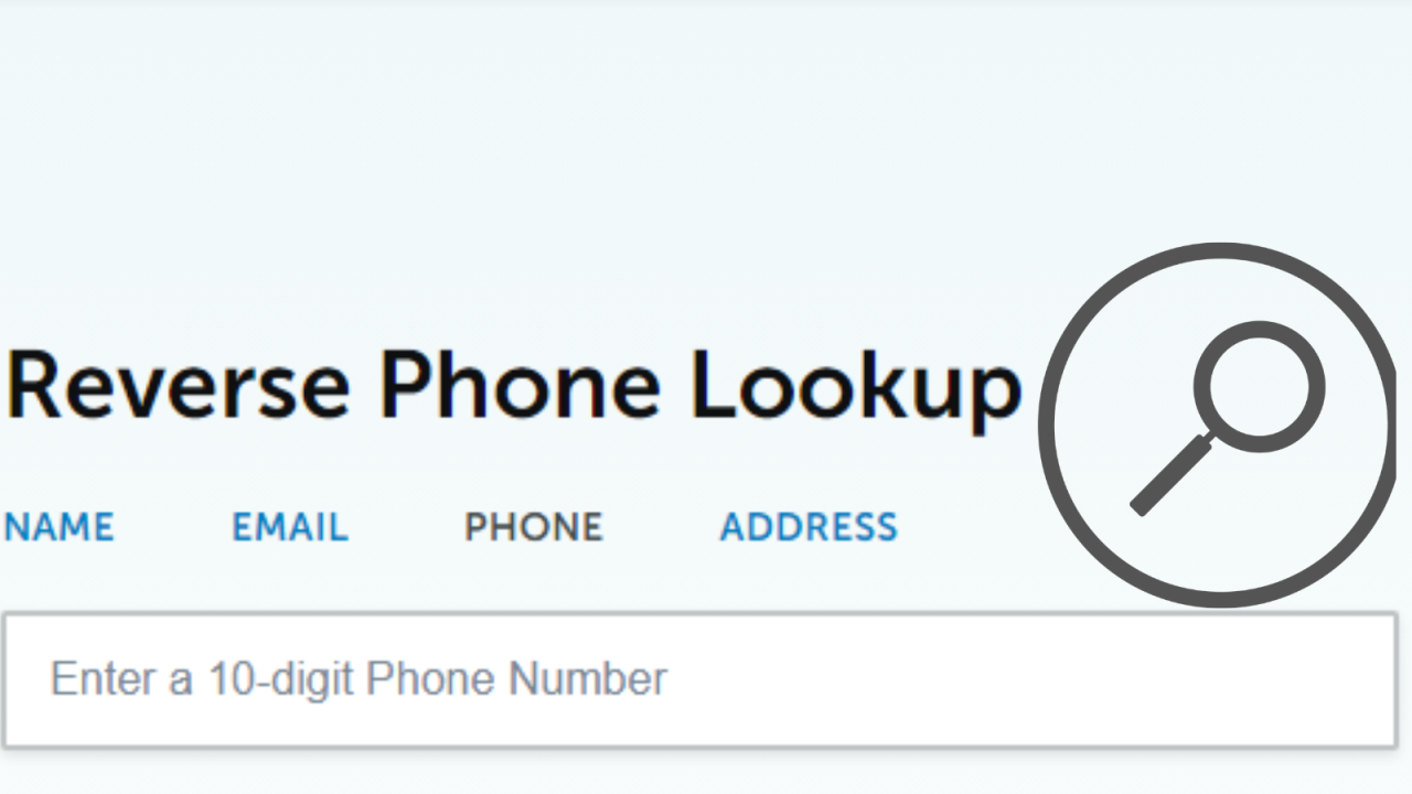 phone number reverse search