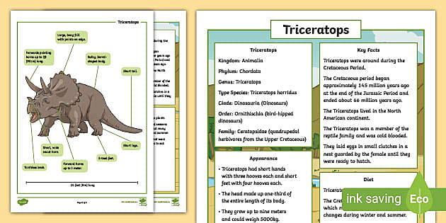 triceratops fact file