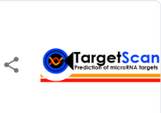 targetscan