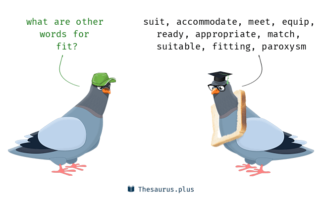 fit thesaurus