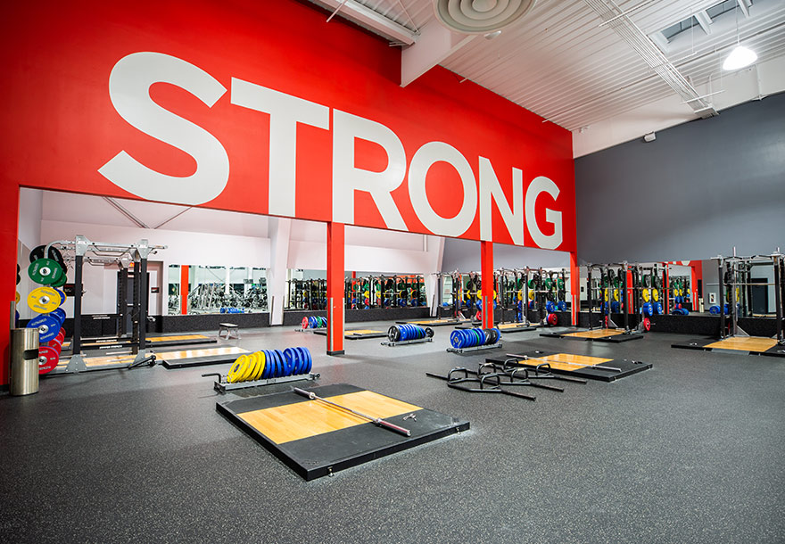 vasa fitness fort collins