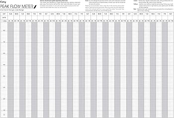 printable peak flow meter chart