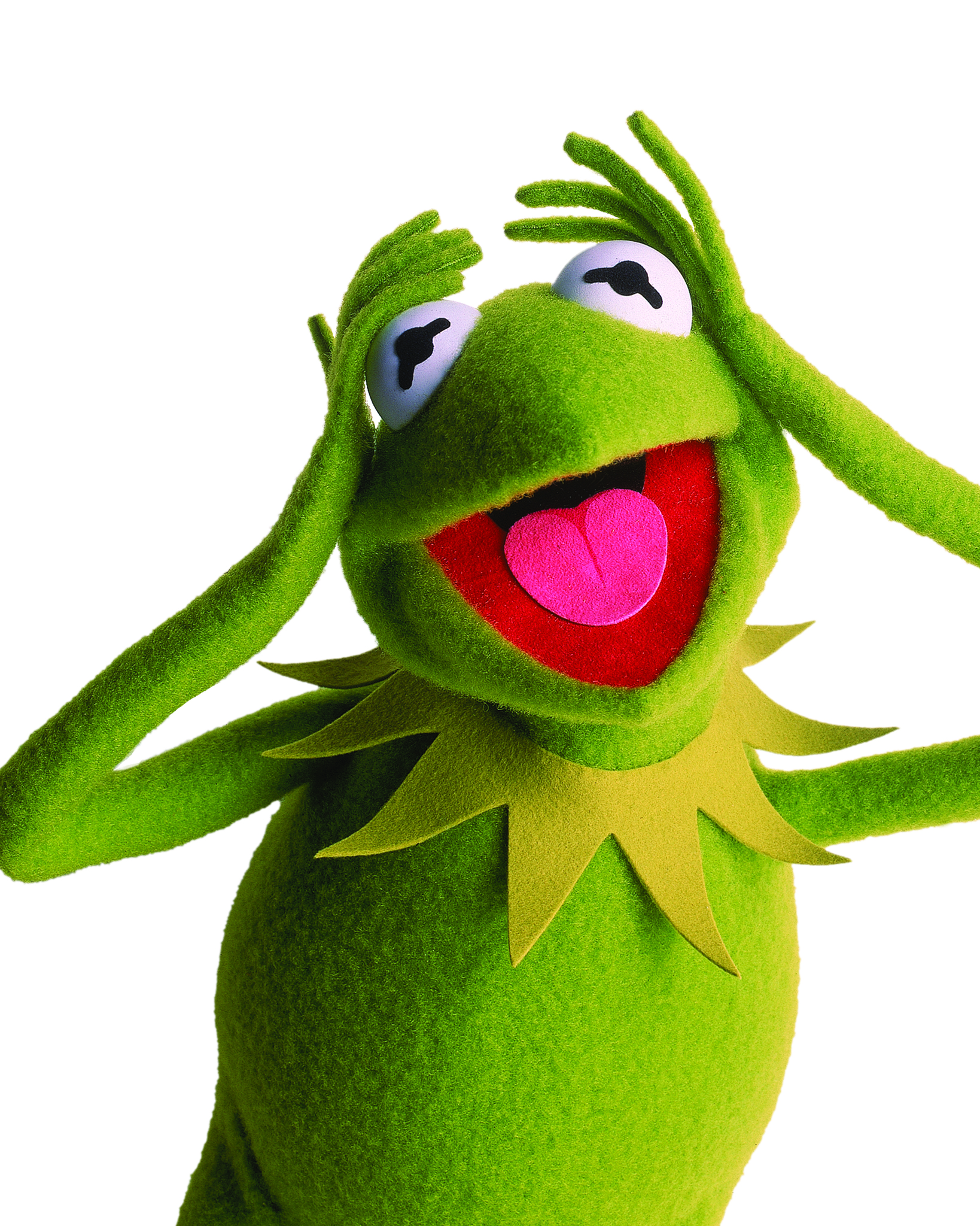 kermit the frog pics