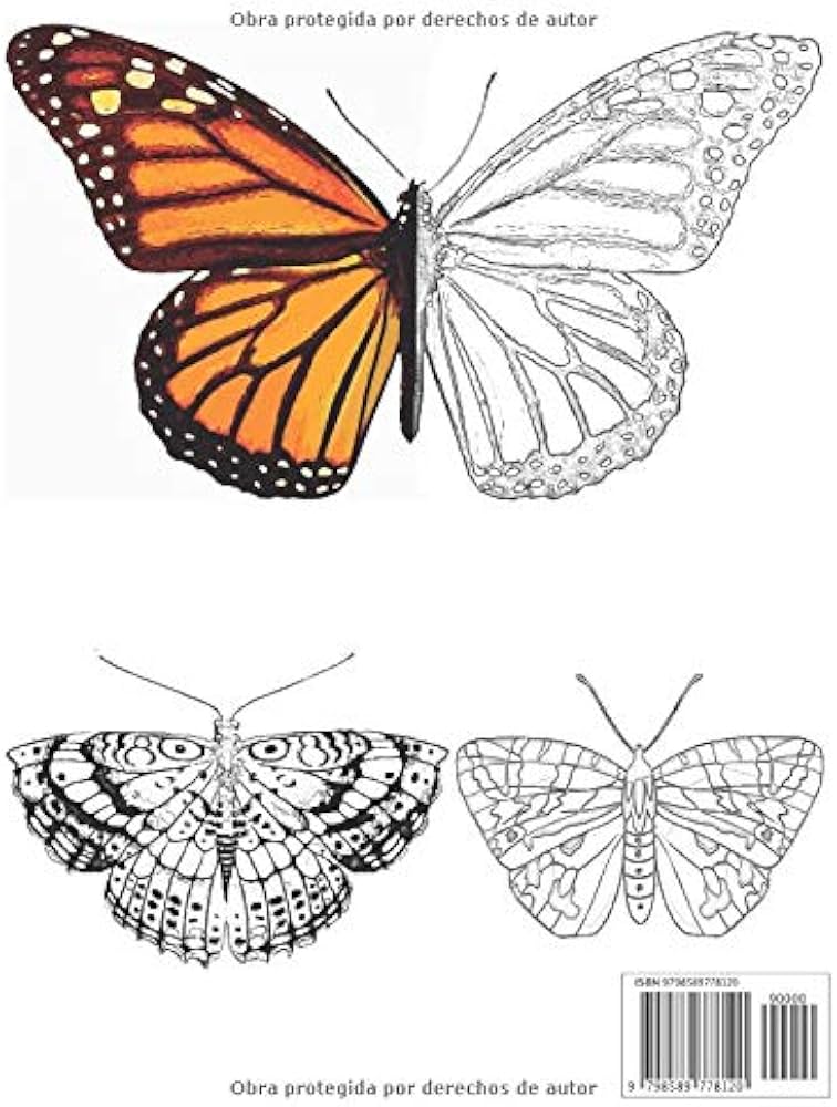 dibujos faciles mariposas