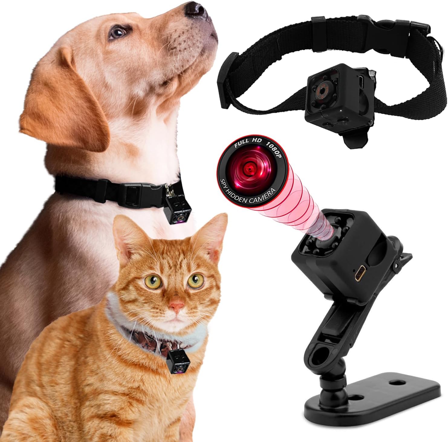 pet collar camera