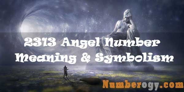 2313 angel number