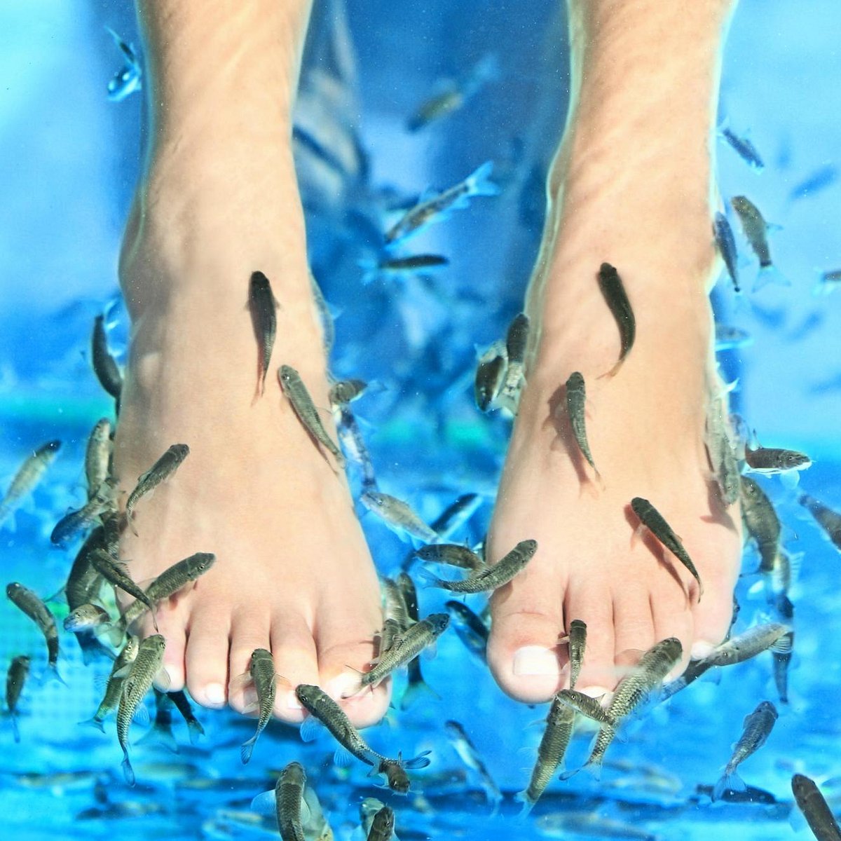 fish spa pedicure near me