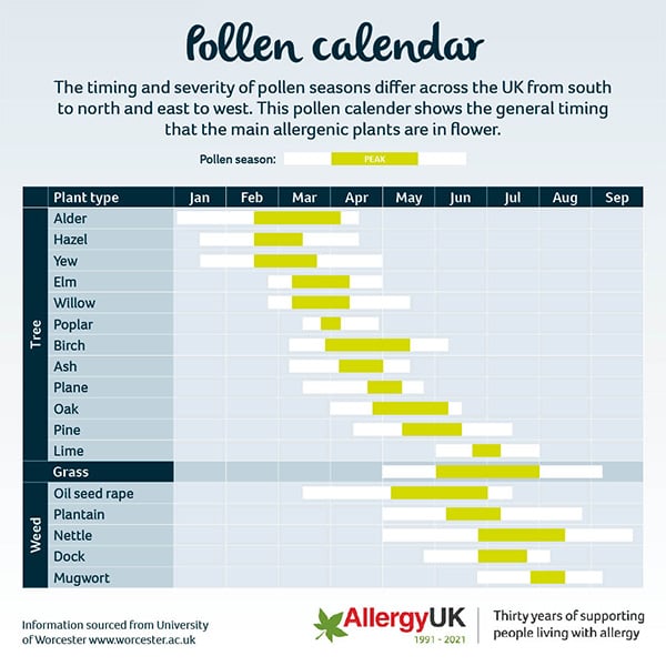 grass pollen today