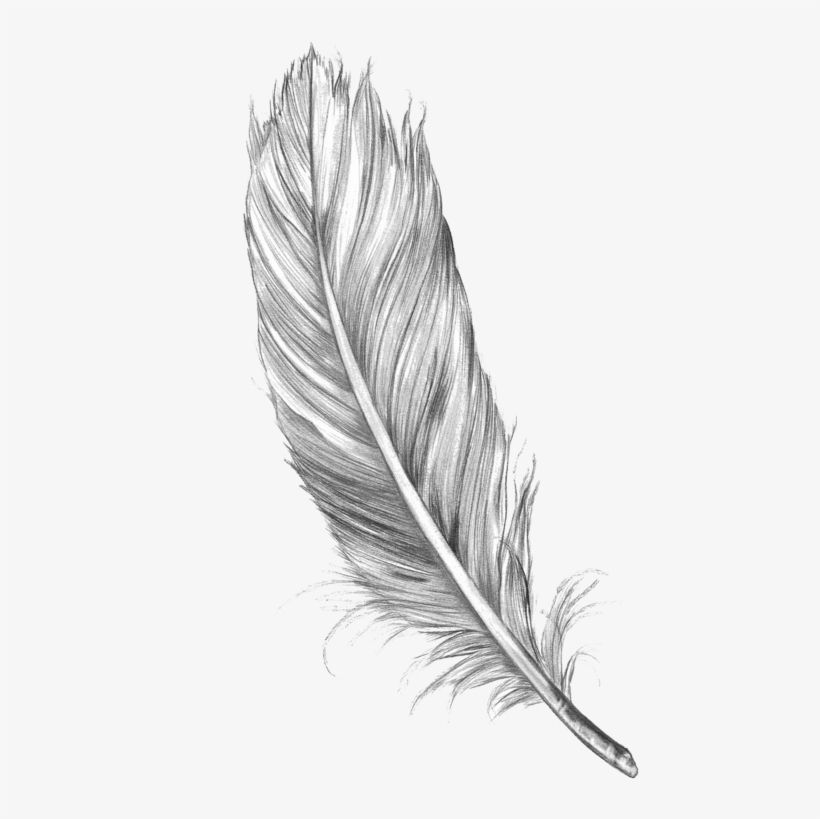 feather tattoo png