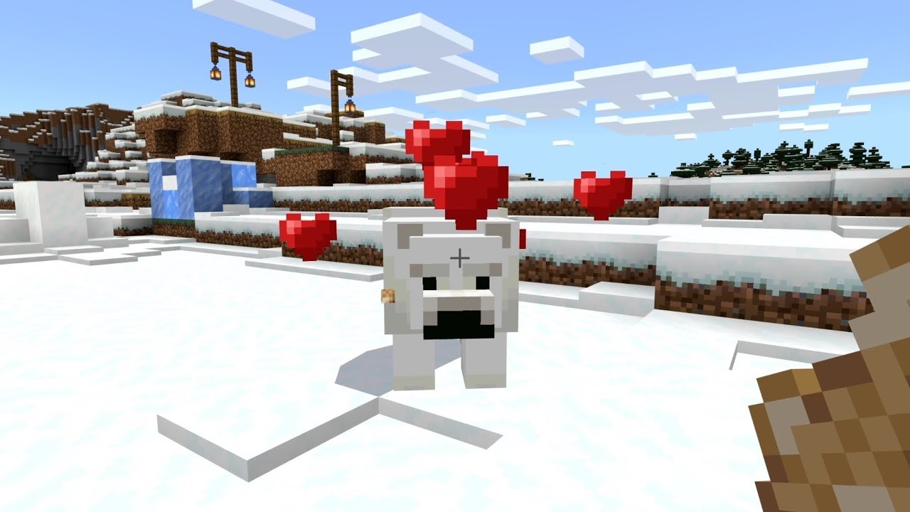 how do i tame a polar bear in minecraft