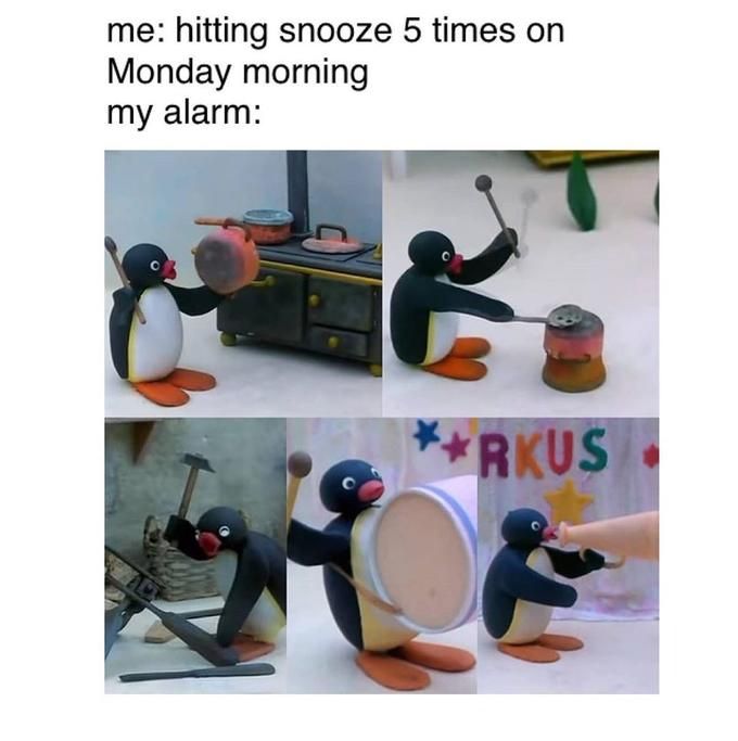 pingu memes