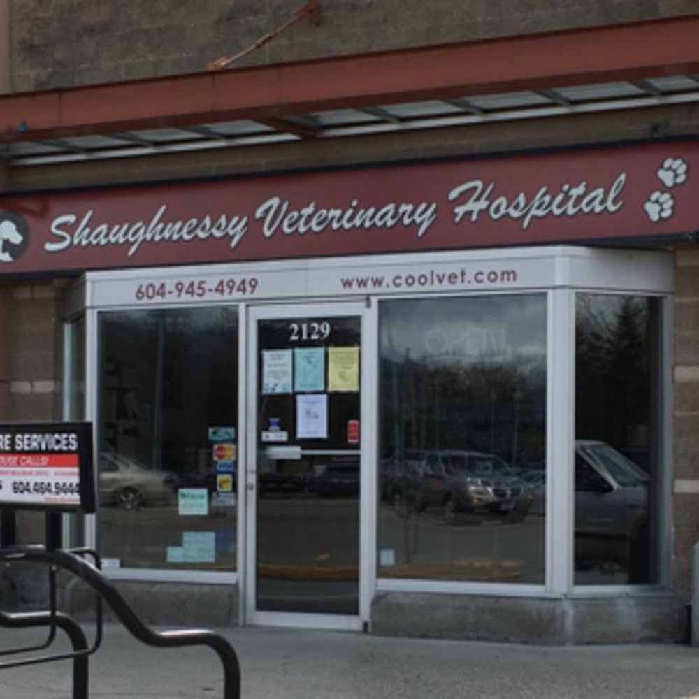 shaughnessy animal hospital