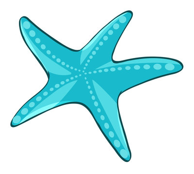 starfish clipart