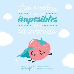 frases mr wonderful