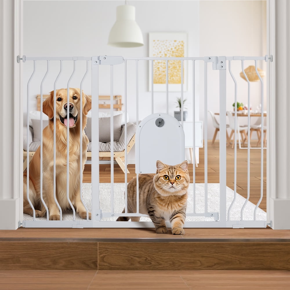 cat stair gate