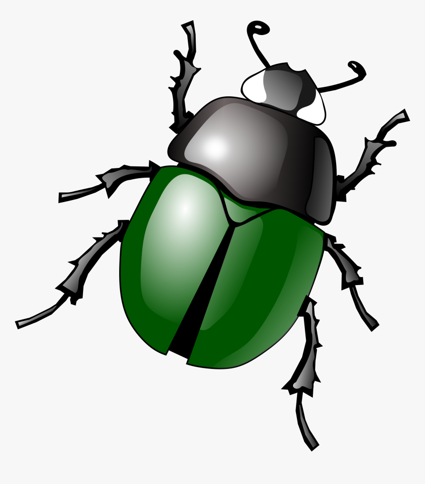 beetle clipart